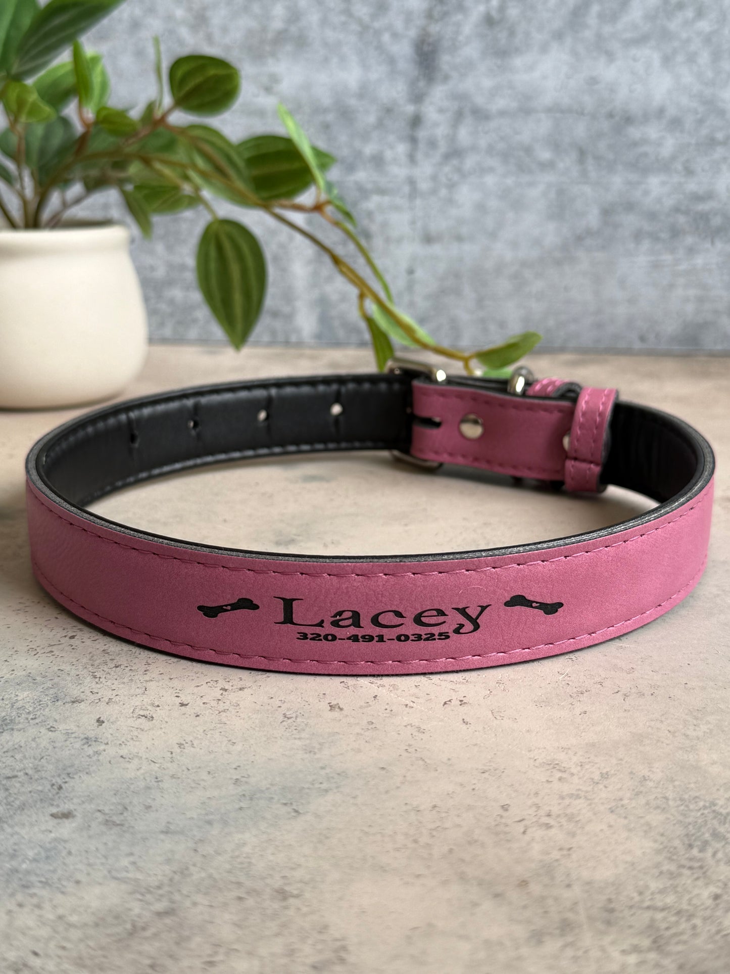 Leatherette Dog Collar